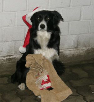 Kopie von AmelyPC230235.JPG